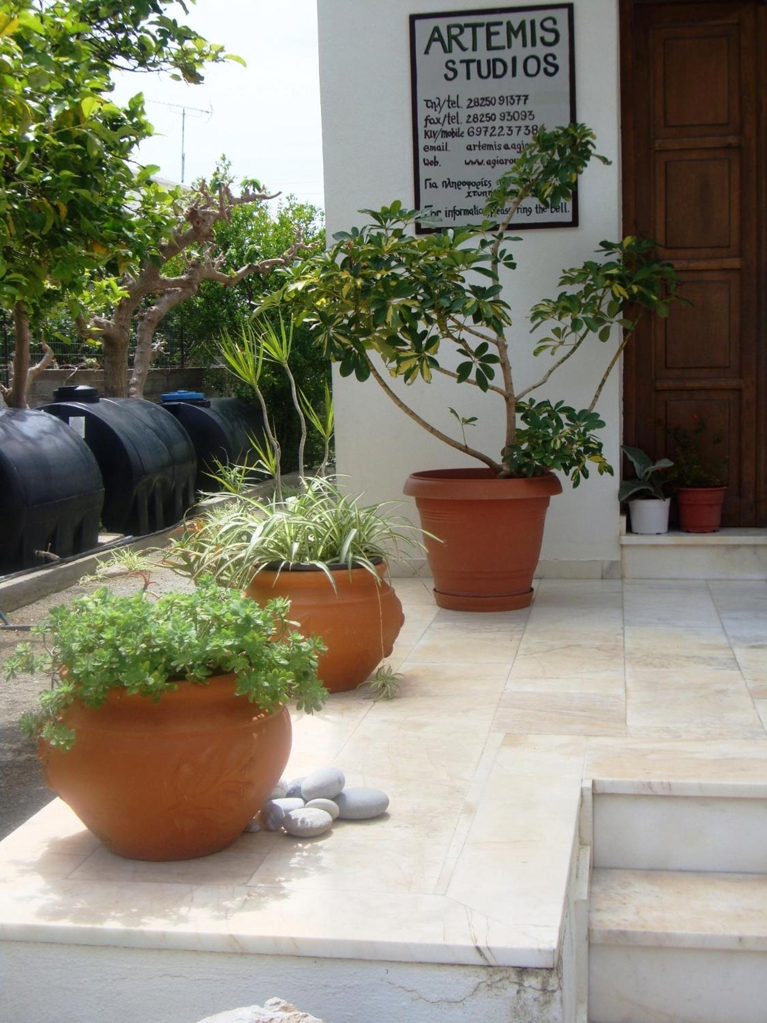 Artemis Studios Agia Roumeli Exterior foto