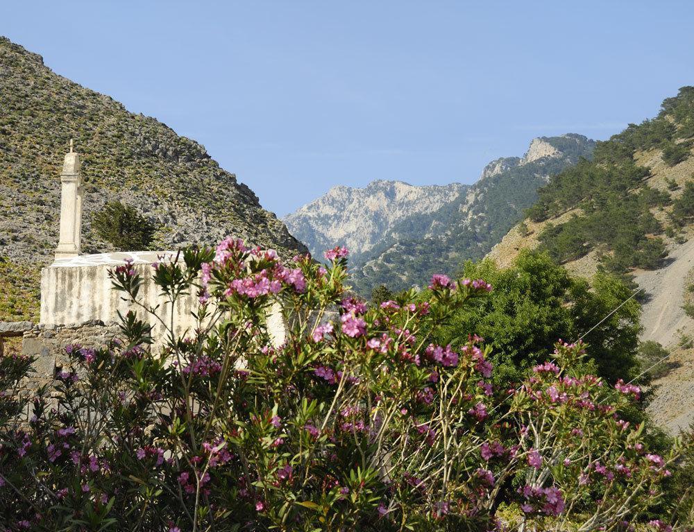 Artemis Studios Agia Roumeli Exterior foto